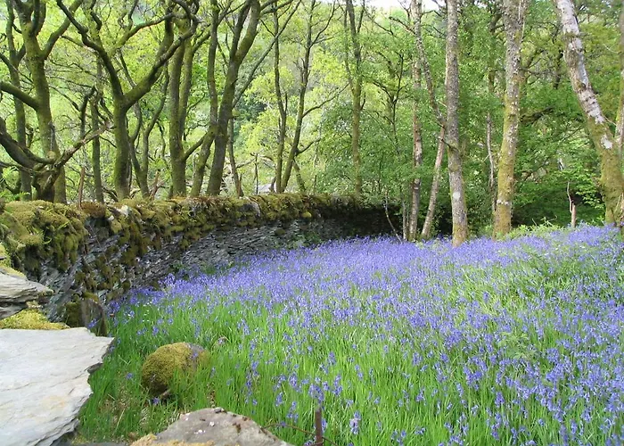 Dolmurgoch Snowdonia Cottage