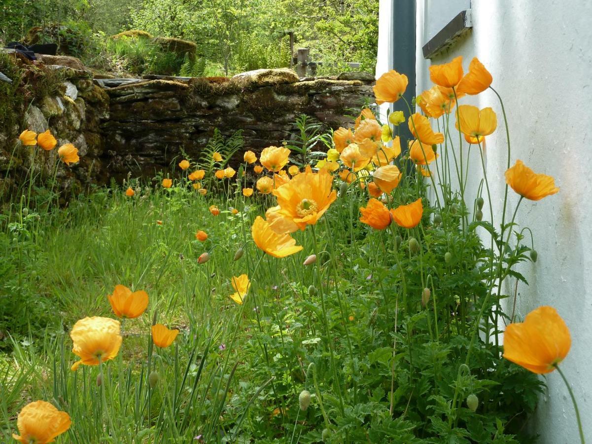 Holiday home Dolmurgoch Snowdonia Dolwyddelan