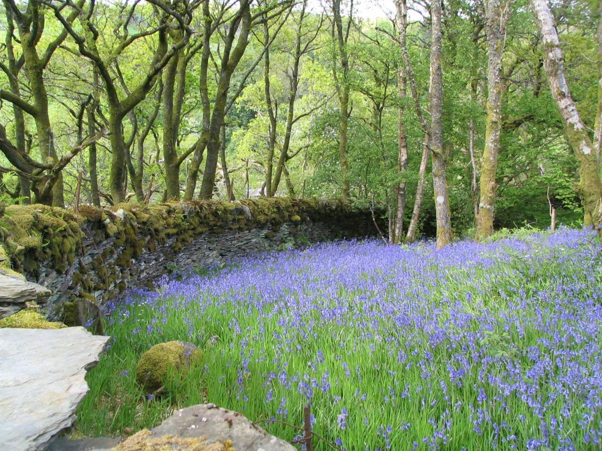 Dolmurgoch Snowdonia Holiday home