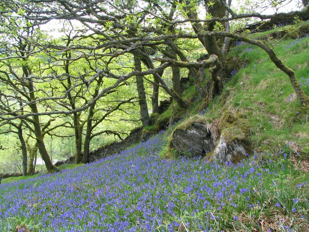 Dolmurgoch Snowdonia *